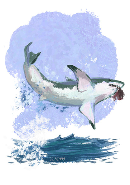 417x591 Irine Bc999 Gubanova - Shark Sketch Pictures