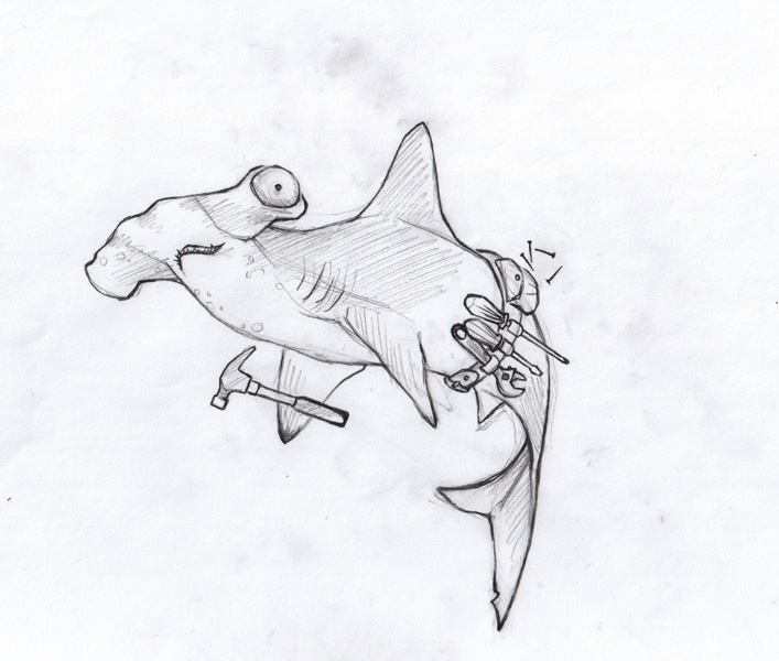707x600 Lizzy Hallman Studio Hammerhead Shark Sketch - Shark Sketch Pictures