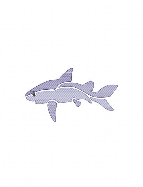 489x640 Shark Color Sketch Embroidery Design - Shark Sketch Pictures