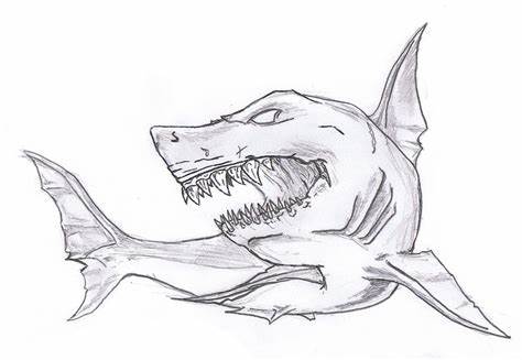 474x327 Shark Drawing In Pencil Realistic. Design Stack A Blog About Art - Shark Sketch Pictures