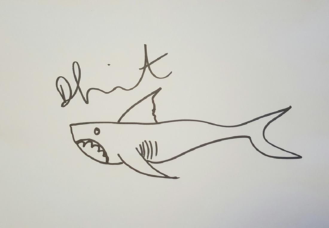1100x761 Shark Sketch, Damien Hirst - Shark Sketch Pictures