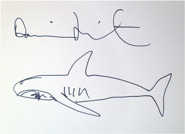 651x470 Untitled Shark Sketch By Damien Hirst On Artnet - Shark Sketch Pictures