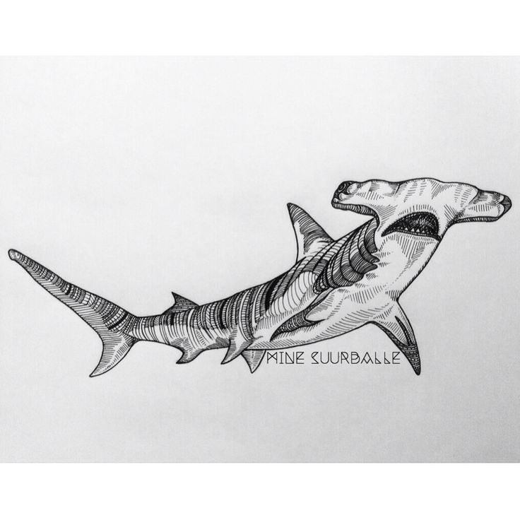 736x736 Shark And Waves Tattoos Sketch - Shark Sketch Pictures