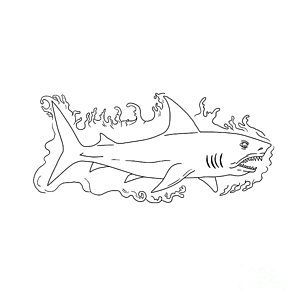 300x300 Sharks Teeth Digital Art Fine Art America - Shark Tooth Sketch