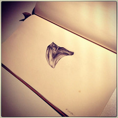 240x240 Daily Sketch 2102014, Shark Tooth, Mechanical Drawing - Shark Tooth Sketch