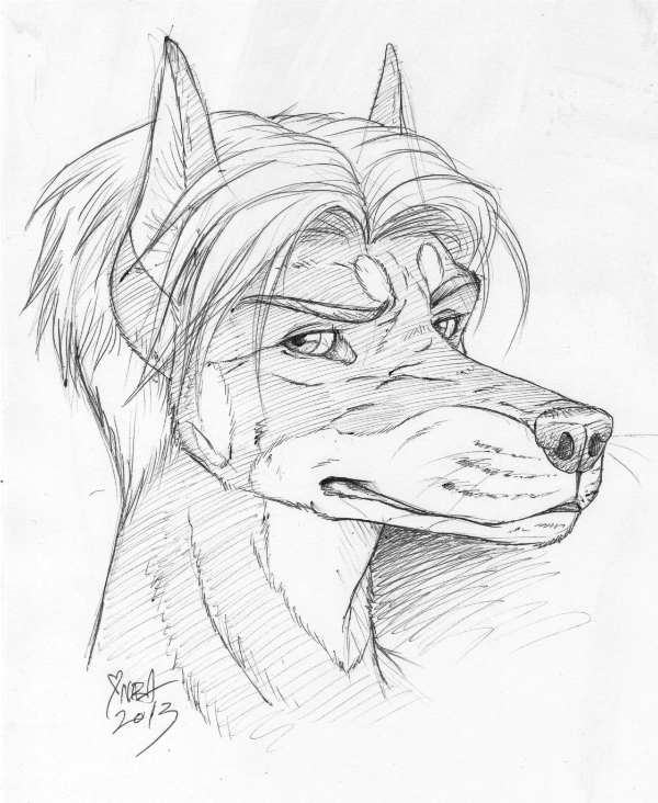 600x732 Sharp Sketch By Naravox - Sharp Sketch