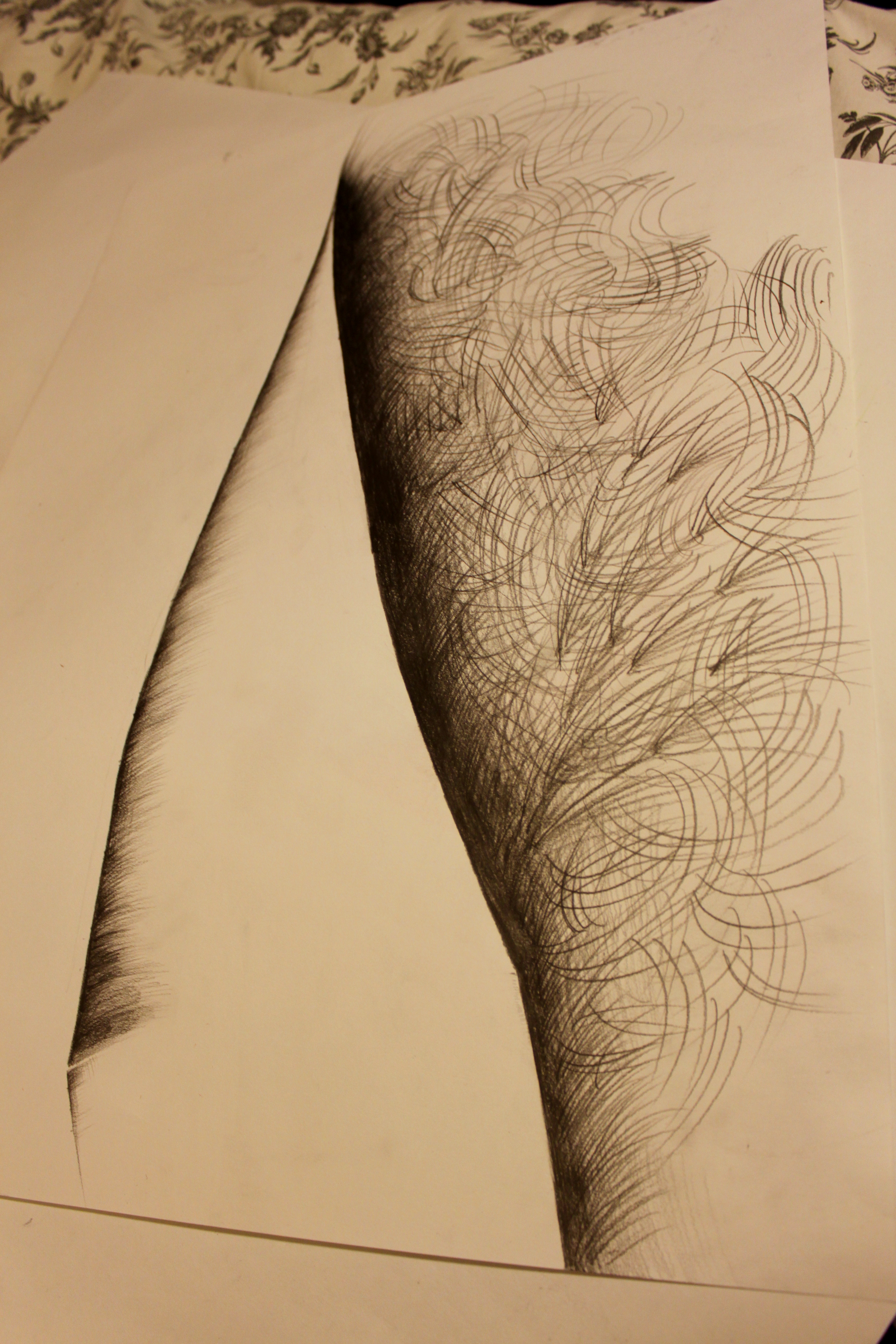 3168x4752 Drawing Workshop Transform Anna Isabella Grace Klimek Fine Art - Sharp Sketch