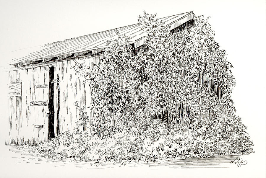 900x603 Old Shed Drawing By Deborah Dallinga - Shed Sketch