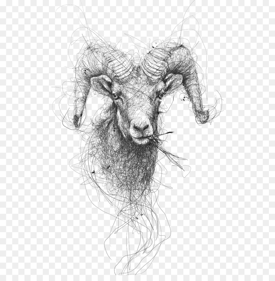 900x920 Drawing Sheep Pencil Illustration - Sheep Head Sketch