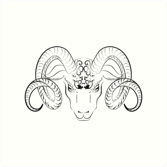 550x550 Longhorn Sheep Head Sketch Art Prints By Gleolite Redbubble - Sheep Head Sketch
