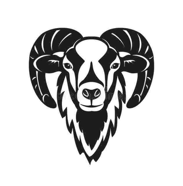 632x641 Black Sheep Head Vector Wall Sticker Designs And Ideas - Sheep Head Sketch