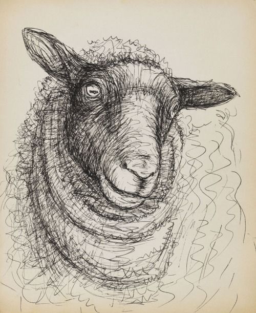 500x611 Design Is Fine Henry Moore, Untitled, Head Of A Sheep, 1972. Pen - Sheep Head Sketch