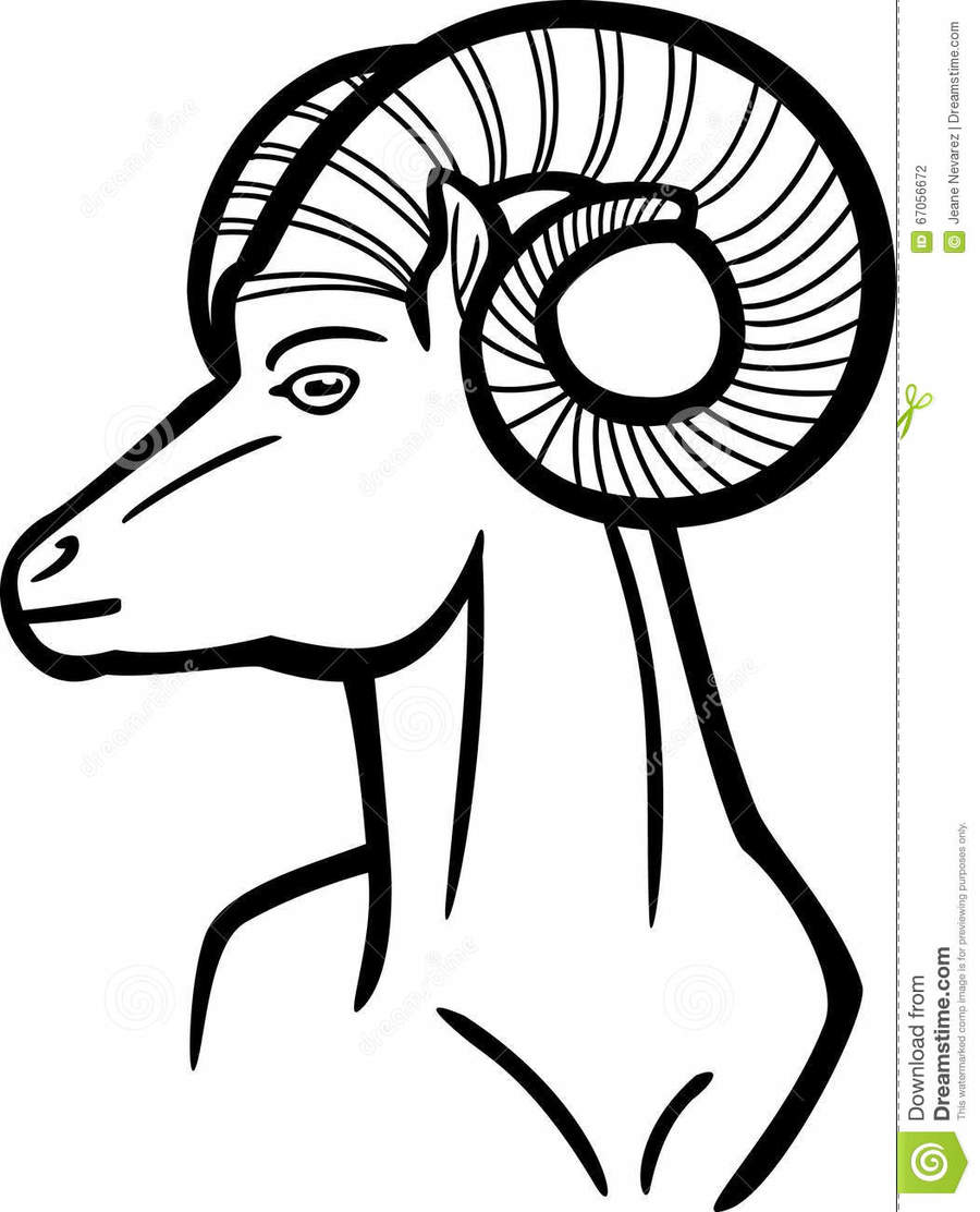 900x1112 Download Ram Side View Drawing Clipart Sheep Ram Trucks Sheep - Sheep Head Sketch