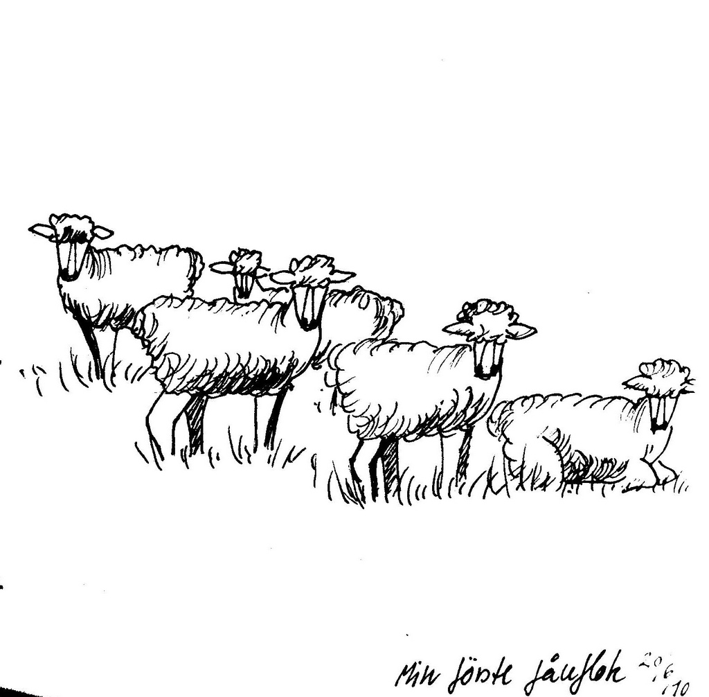 1024x1006 My First Flock Of Sheep Sketch From My Summer - Sheep Sketch