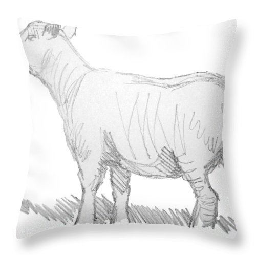 500x500 Sheep Sketch Throw Pillow For Sale By Mike Jory - Sheep Sketch