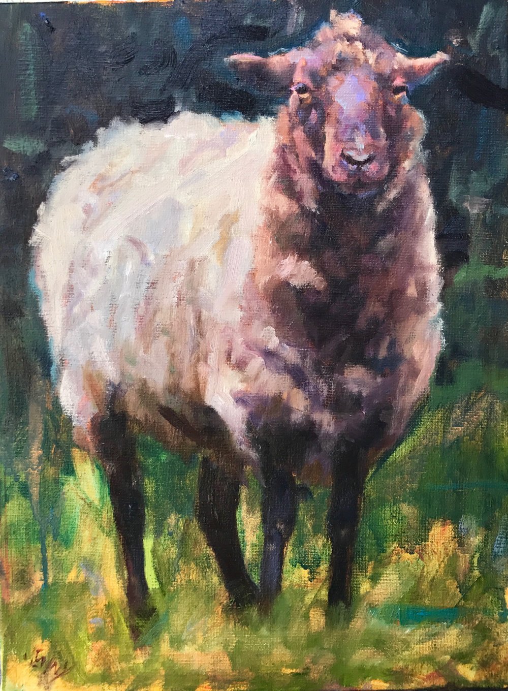 1000x1360 Sheep Sketch Jenny Buckner - Sheep Sketch