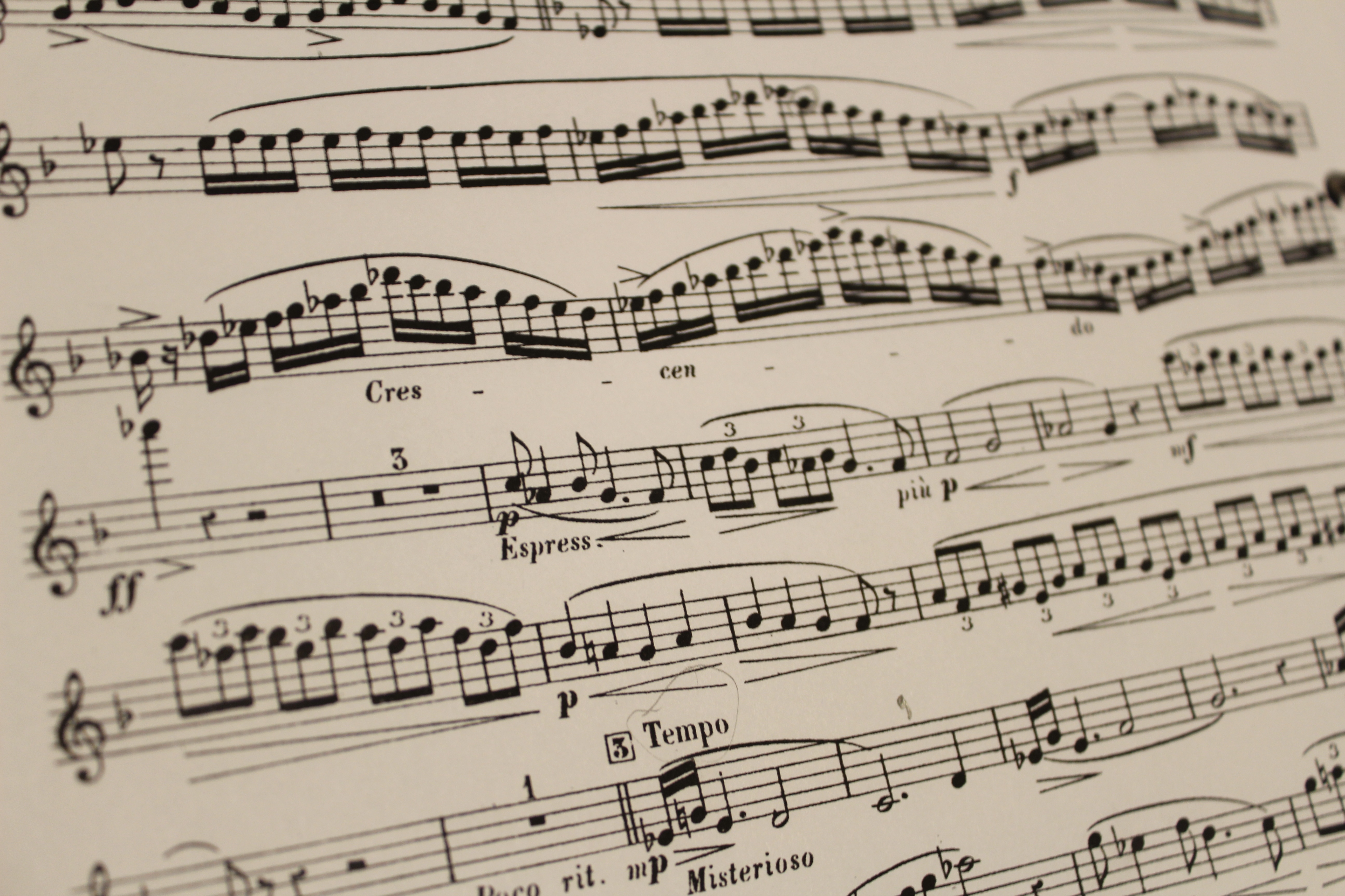 5184x3456 Free Images Pattern, Line, Sheet Music, Font, Sketch, Drawing - Sheet Music Sketch