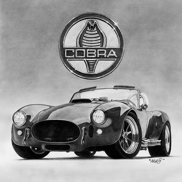 600x600 Shelby Cobra Drawing By Tim Dangaran - Shelby Cobra Sketch