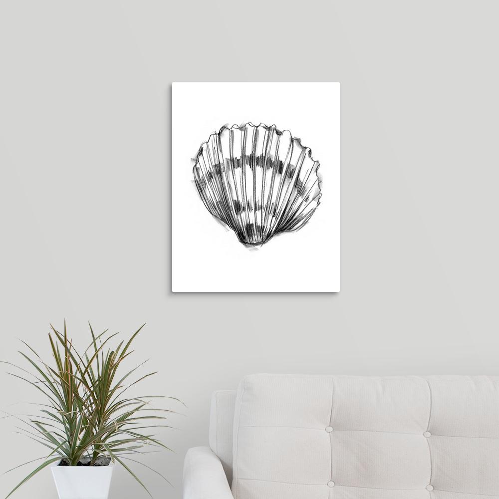 1000x1000 Greatbigcanvas Shell Sketch Vi By Ethan Harper Canvas Wall Art - Shell Sketch
