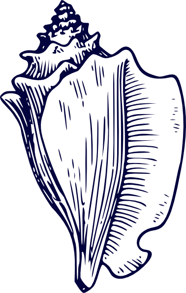 378x593 Navy Blue Shell Sketch Clip Art - Shell Sketch