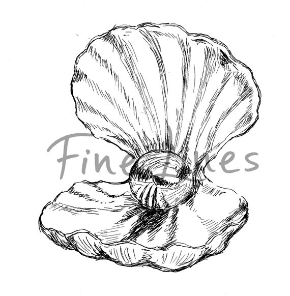 570x582 Sea Shell Sketch Black And White Pearl Print Printable Wall Etsy - Shell Sketch
