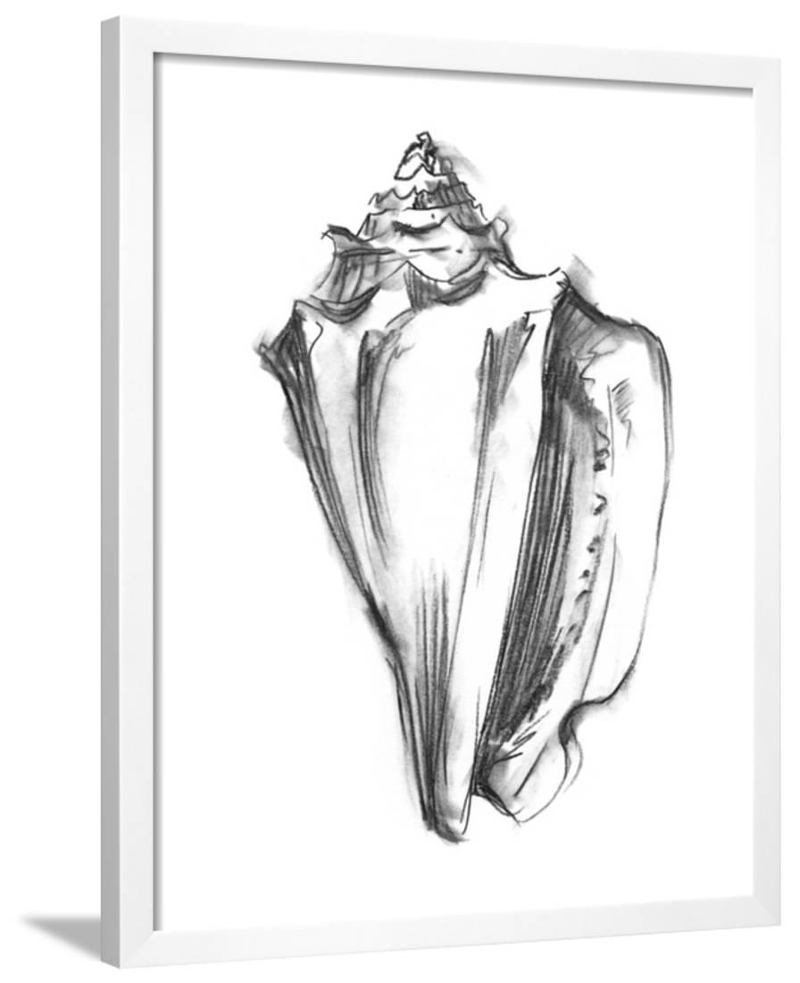 896x1100 Shell Sketch I Framed Print Wall Art By Ethan Harper - Shell Sketch