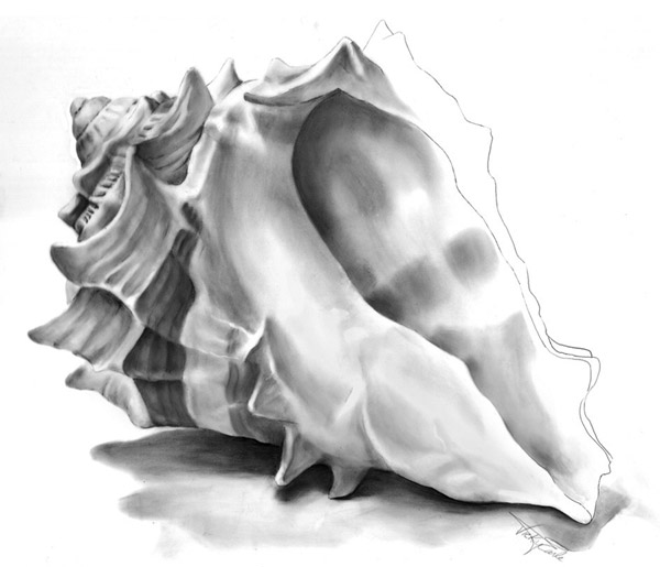 600x515 Creating With Kaiser Sketching Shells - Shell Sketch