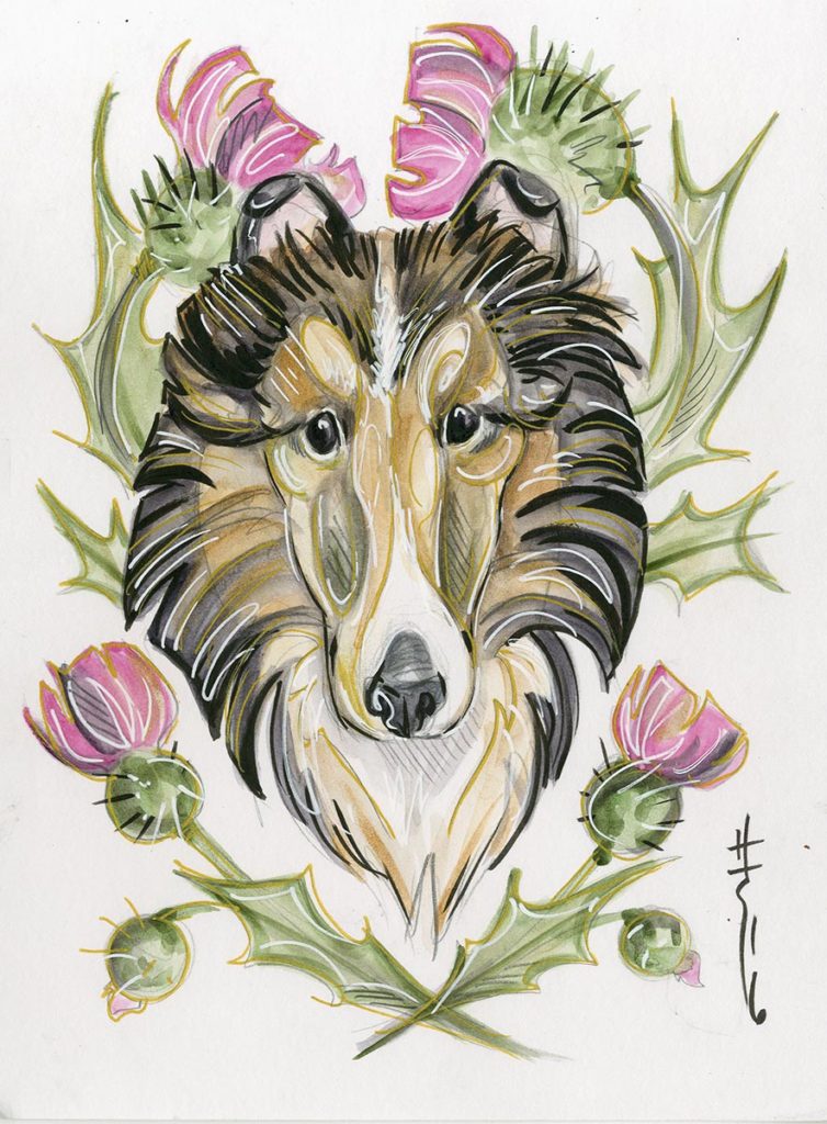 754x1024 Sheltie - Sheltie Sketch