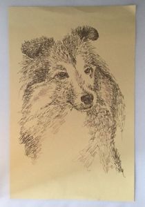210x300 Shetland Sheepdogdog Lithograph Print Words Sheltie Stephen - Sheltie Sketch