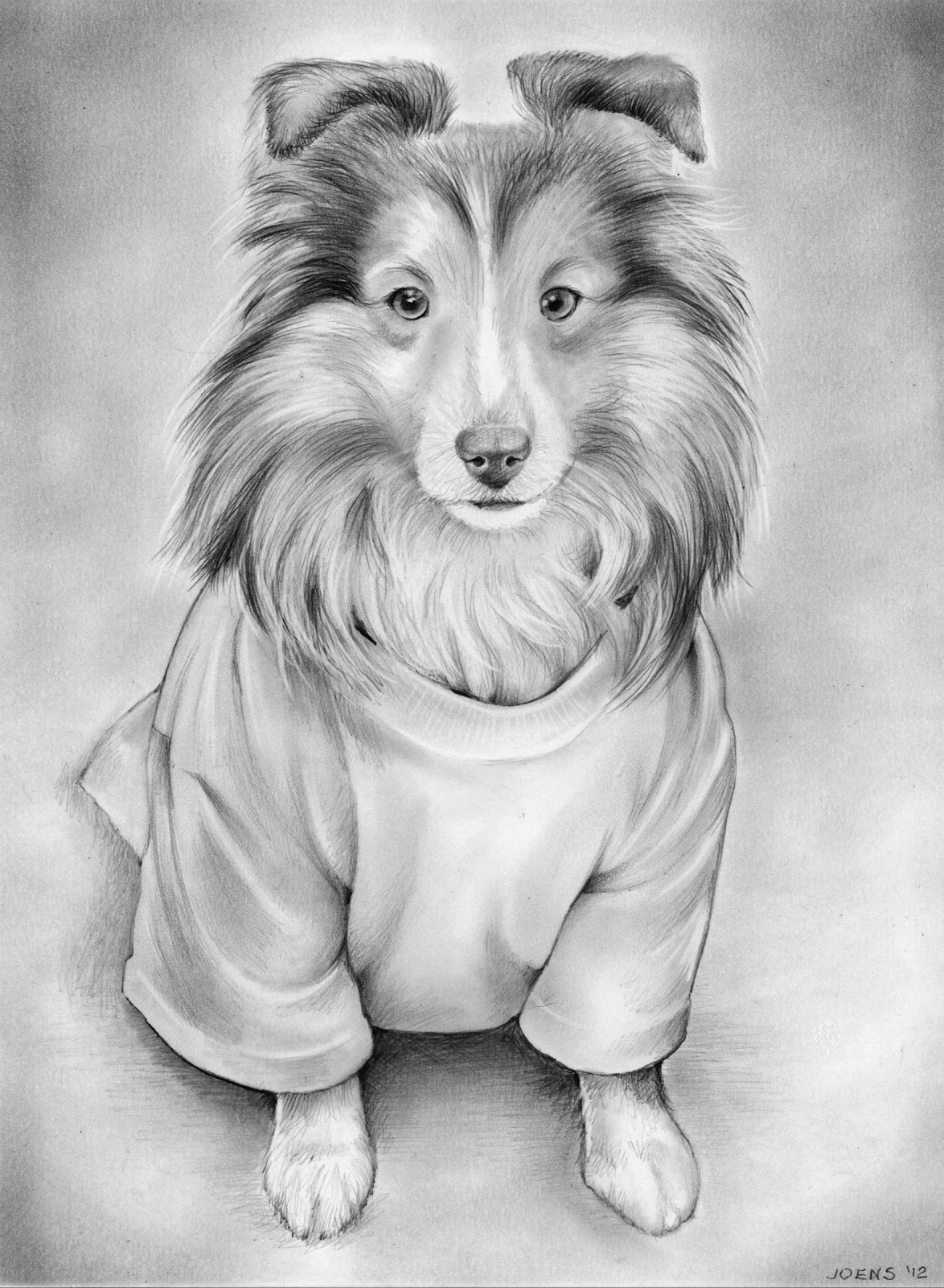 1174x1600 Sketch Of The Day Sheltie Sheep Dog - Sheltie Sketch