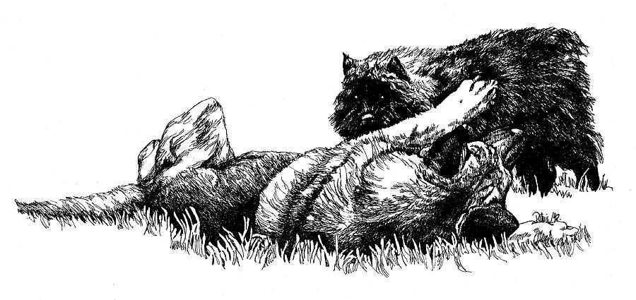 900x425 Shepherd And Bouvier Pup Drawing By Patrice Clarkson - Shepherd Sketch