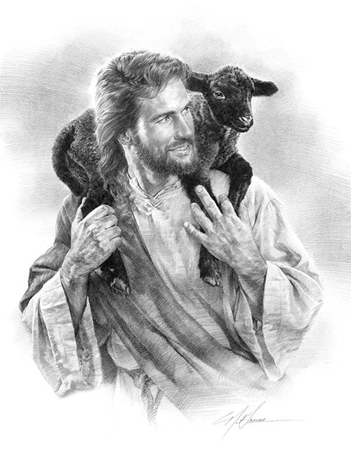 500x644 The Good Shepherd (12x15) Pencil Sketch Ilustraciones - Shepherd Sketch