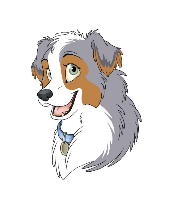 547x677 Australian Shepherd Drawing - Shepherd Sketch