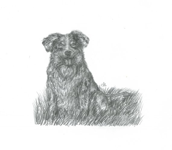 Shepherd Sketch at PaintingValley.com | Explore collection of Shepherd ...