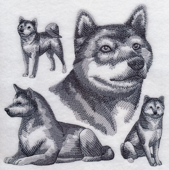 565x570 Machine Embroidery Designs - Shiba Inu Sketch