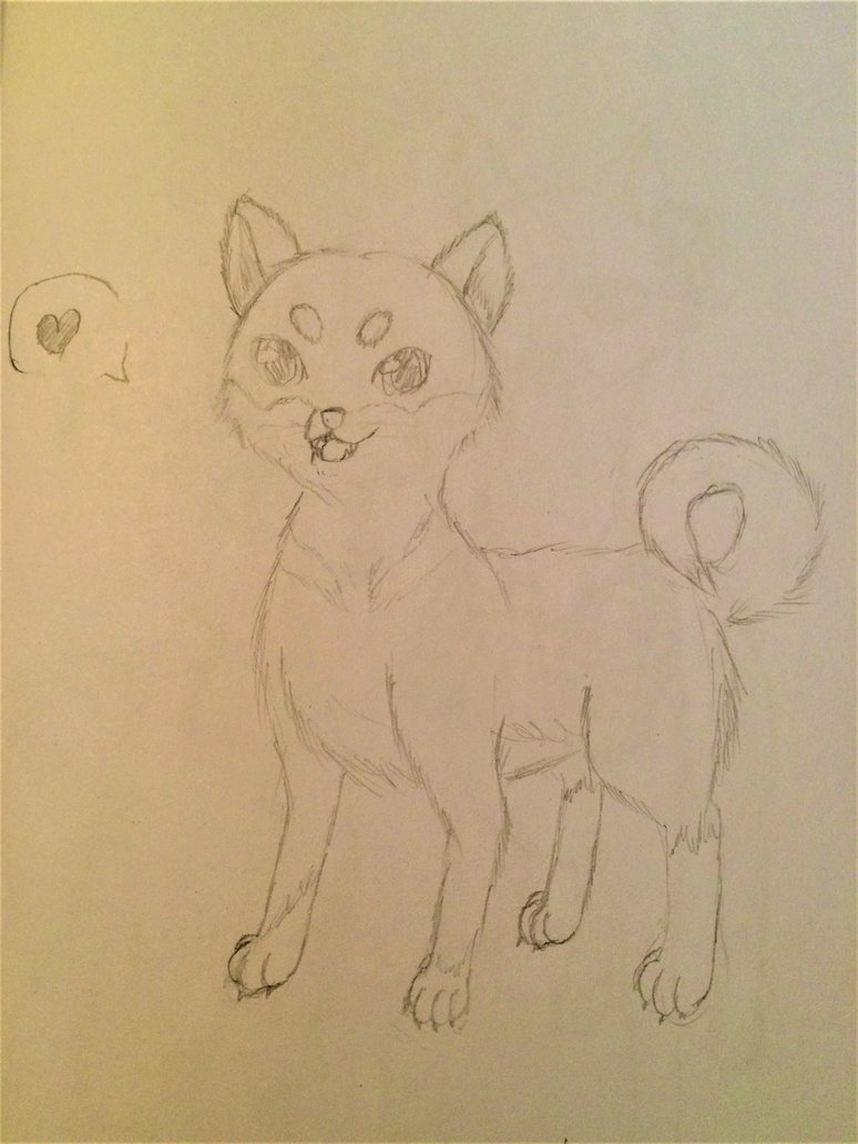 774x1032 Shiba Inu (Sketch) By Drdelucia - Shiba Inu Sketch