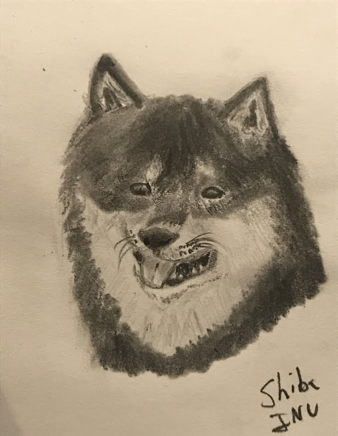 675x869 Shiba Inu Sketch By Sabertoothed Wolf - Shiba Inu Sketch