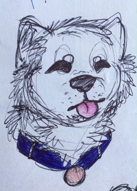 460x640 Shiba Inu Sketch Weasyl - Shiba Inu Sketch