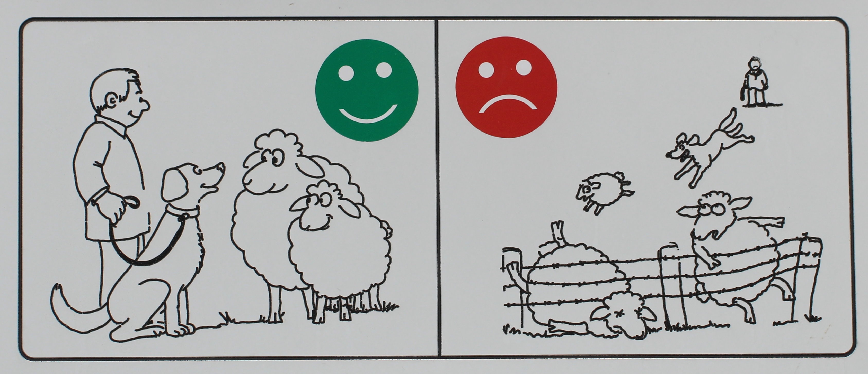 3374x1456 Free Images Sign, Line, Sheep, Note, Font, Sketch, Drawing - Shield Sketch