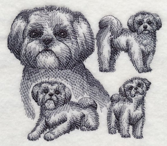 570x499 Shih Tzu Sketch Etsy - Shih Tzu Sketch