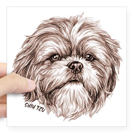 460x460 Shih Tzu Drawing Stickers - Shih Tzu Sketch