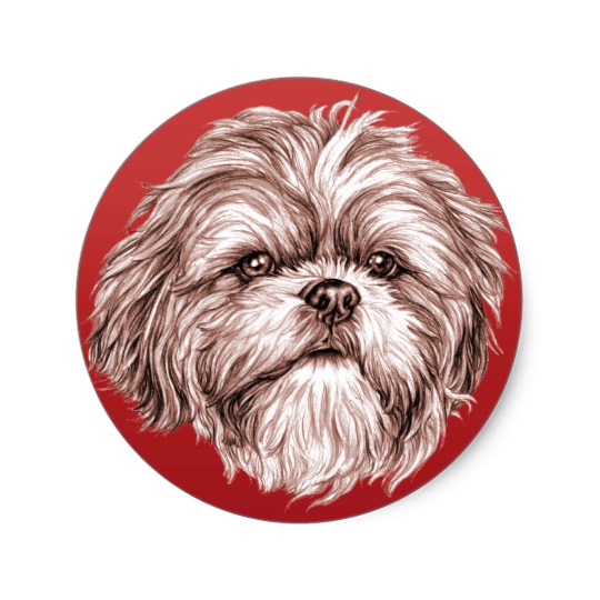 540x540 Shih Tzu Sketch Classic Round Sticker - Shih Tzu Sketch