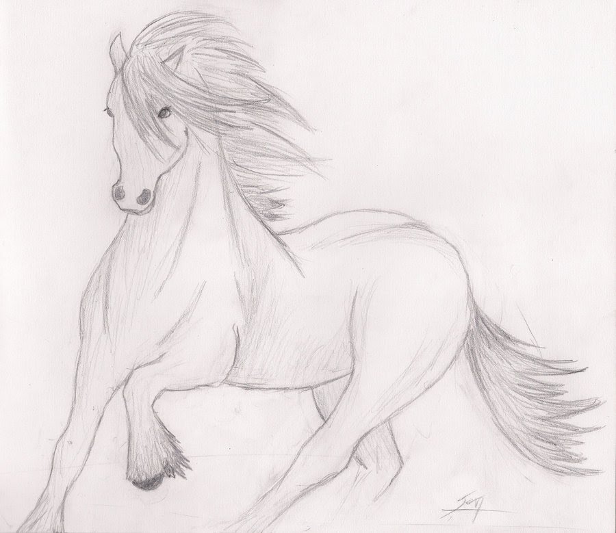 900x779 How To Draw A Horse - Shire Horse Sketch