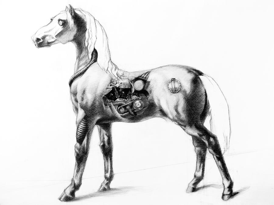 900x674 Shire Horse Drawings Fine Art America - Shire Horse Sketch