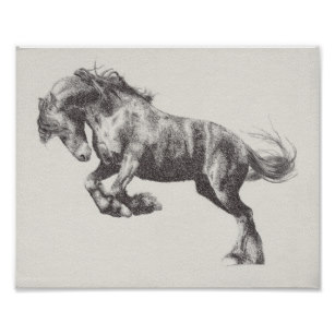 307x307 Shire Horse Posters Amp Prints Zazzle Uk - Shire Horse Sketch