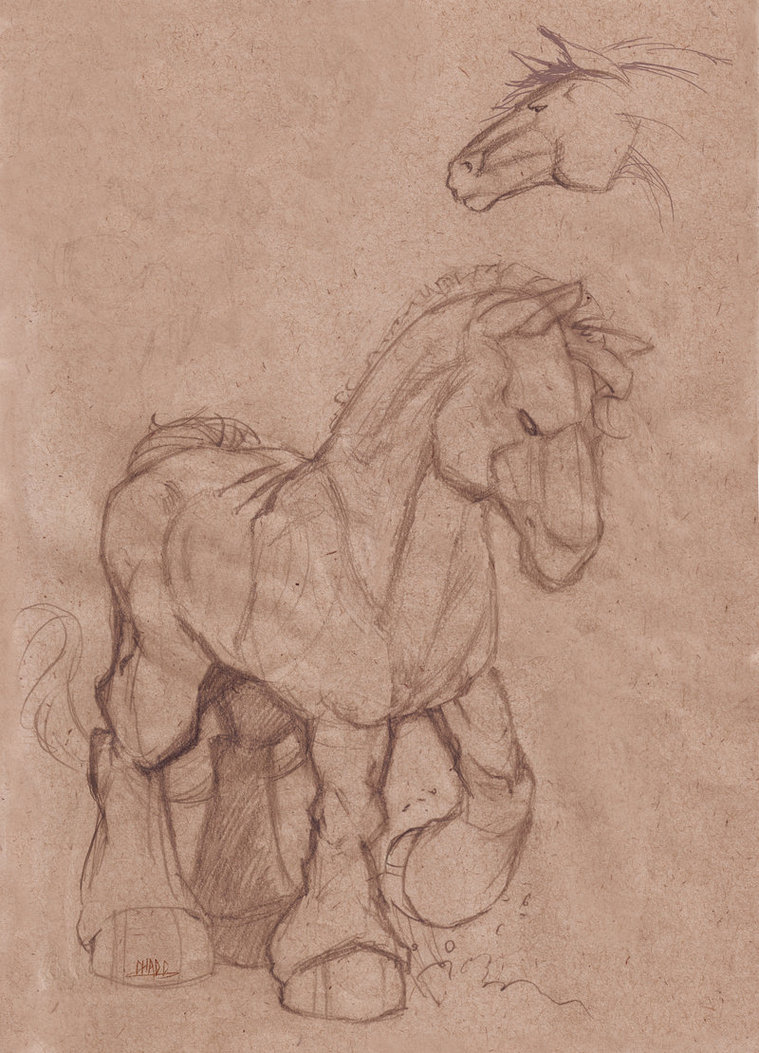 759x1053 Shire Horse Sketch By Chadwick J Coleman - Shire Horse Sketch