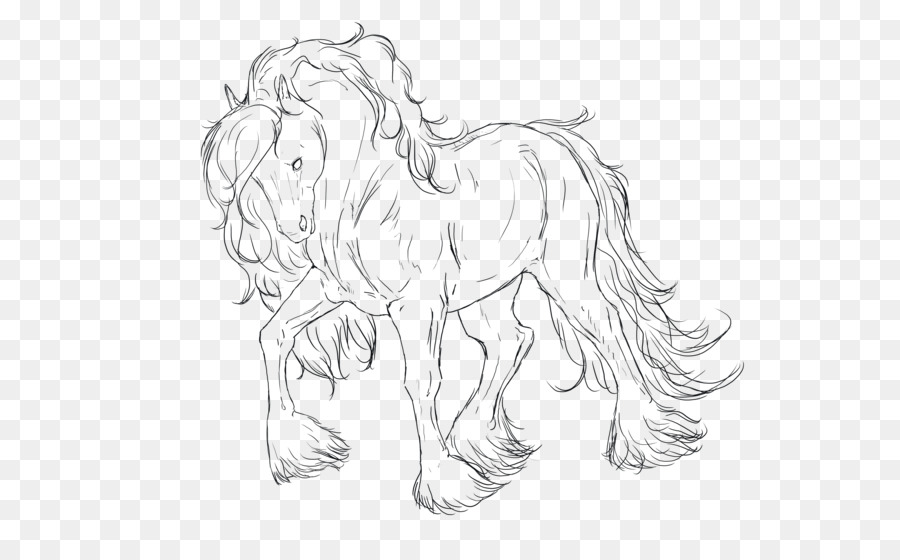 900x560 Shire Horse Clydesdale Horse Pony Arabian Horse Mane - Shire Horse Sketch