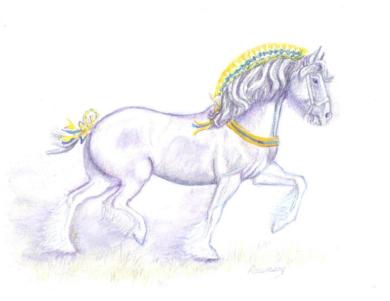 770x594 The Shire Horse Of The Year, 2017. - Shire Horse Sketch