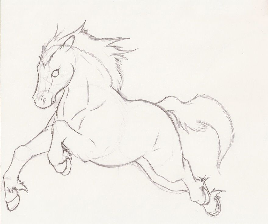 880x736 Horse Sketches - Shire Horse Sketch