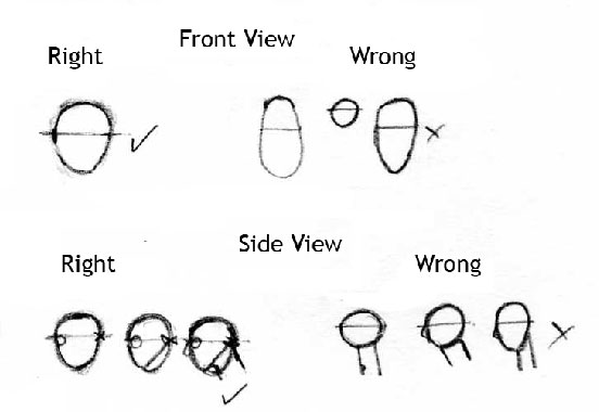 552x380 How To Sketch Heads And Shoulders - Shoulder Sketch